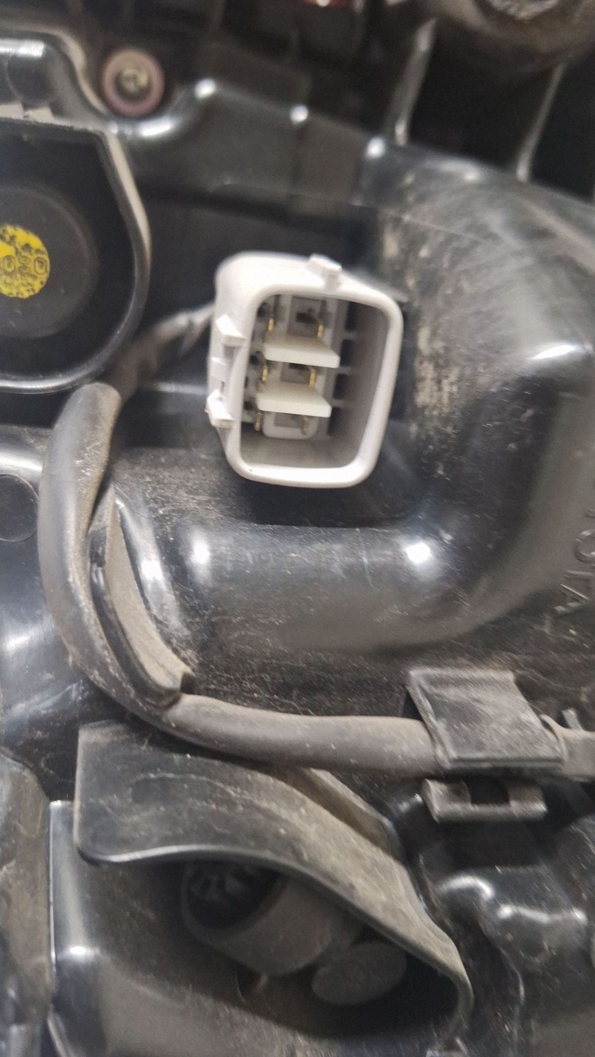 Stop Stanga spate Toyota C-HR I 2021 - 00061E09918 86L678007
